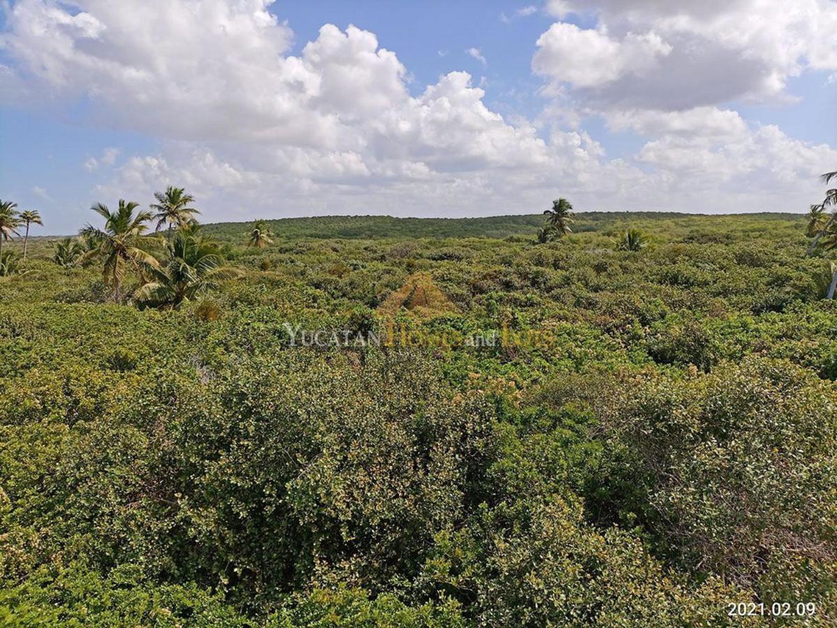 Beachfront Villa In Sisal Yucatan Mexico Exterior photo